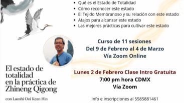 estado de totalidad en zhineng qigong